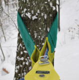  - Nordforest upevňovací popruh pro ukotvení Vodící kladky SRF, užitečná Délka 3 m pro 16 strom cca 80 cm? /length 3 m/hmotnost 3,5 kg Účinná délka 3 m pro stromy do cca. 80cm ?, délka 3 m, hmotnost 3,5 kg .